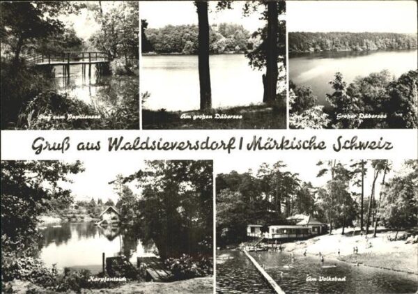 Waldsieversdorf Steg Papillensee Däbersee Karpfenteich