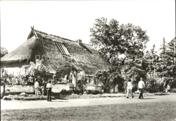 Vitte Haus