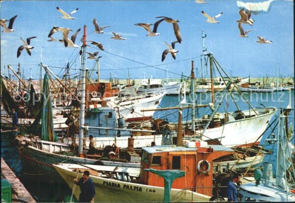 San Benedetto Del Tronto Porto Hafen Fischkutter Möwen