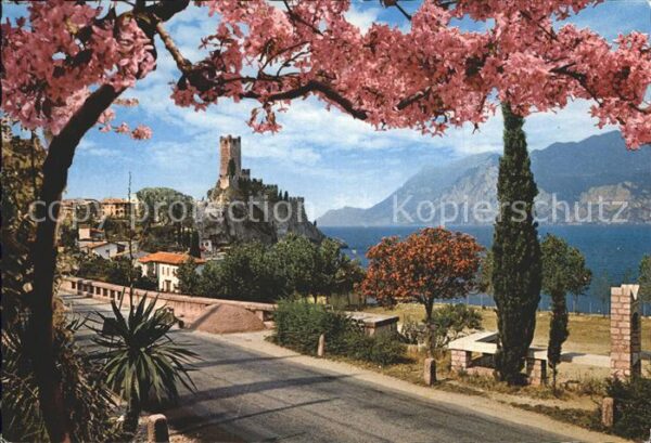 Malcesine Lago di Garda Schloss Gardasee Baumblüte