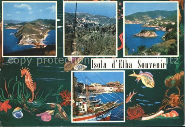Isola d Elba Panorama Hafen Meerestiere