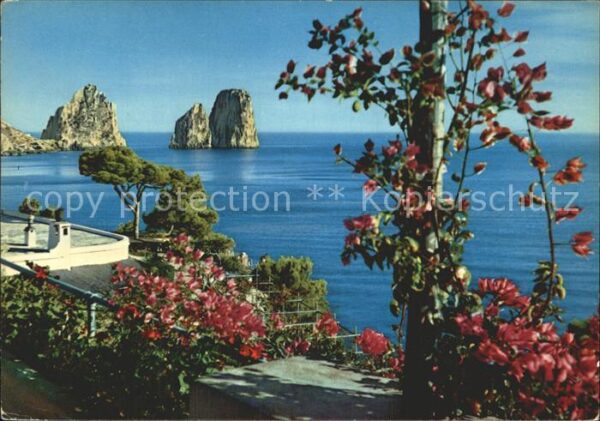 Capri Faraglioni dai giardini Cesare Augusta