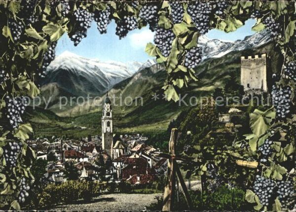Merano Meran Ortsansicht mit Alpenpanorama Weinreben
