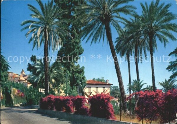 Bordighera Via Romana sfondo citta vecchia Altstad