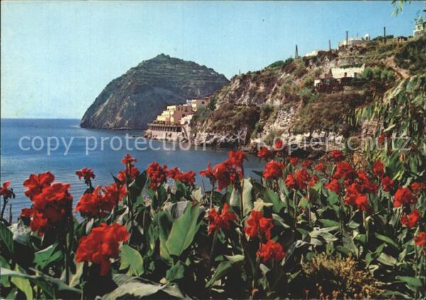 Sant Angelo Ischia Panorama Küste Blumen