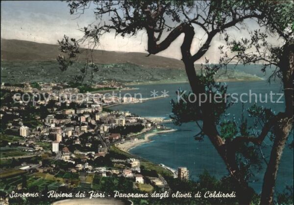 Sanremo Panorama dagli oliveti di Coldirodi Riv
