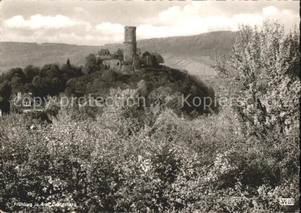 Bad Godesberg im Frühling Burgruine