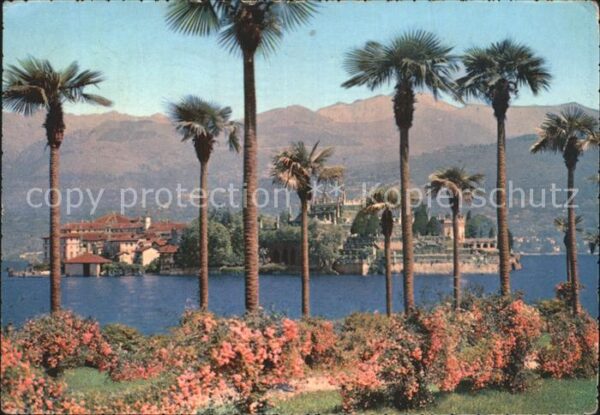 Isola Bella Lago Maggiore Uferpromenade Palmen