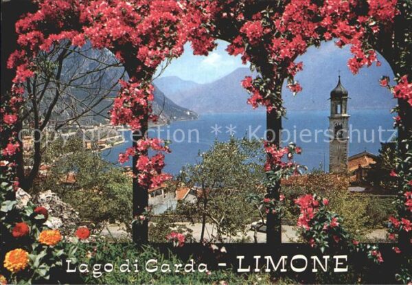 Limone sul Garda Panorama Kirche Baumblüte Gardasee