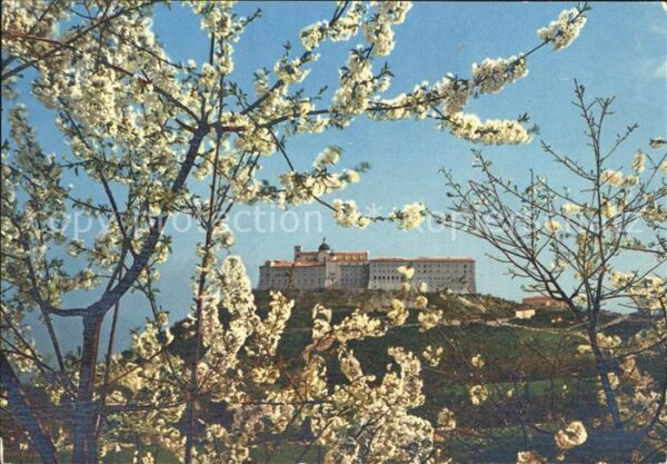 Montecassino Kloster Baumblüte