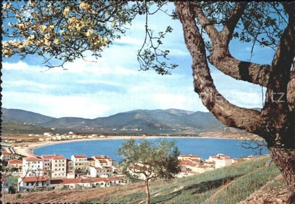 Marina di Campo Panorama Baumblüte