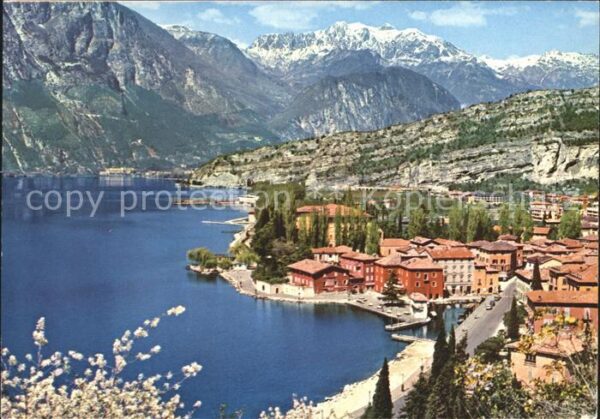 Torbole Lago di Garda Panorama Gardasee Alpen Baumblüte