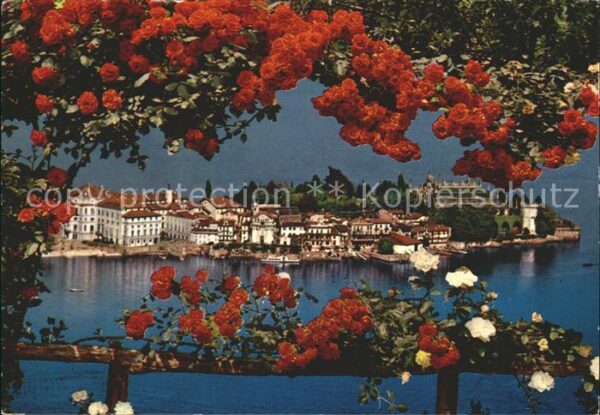 Isola Bella Lago Maggiore Insel Rosenbusch