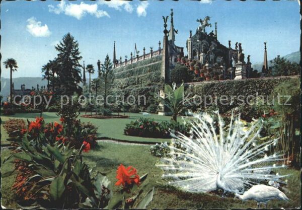 Isola Bella Lago Maggiore Giardini Gärten Pfau