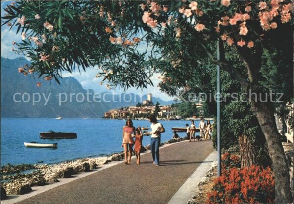 Malcesine Lago di Garda Lungomare Seepromenade Gardasee Baumblü
