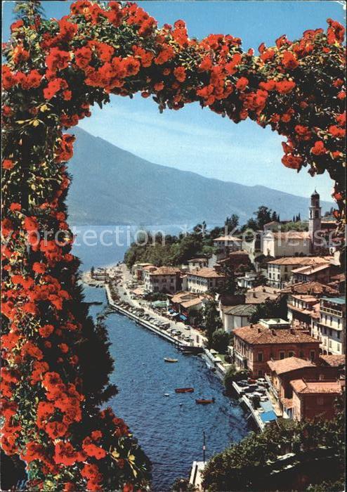 Limone sul Garda Panorama Gardasee Rosenbusch