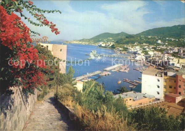 Lacco Ameno Panorama Hafen