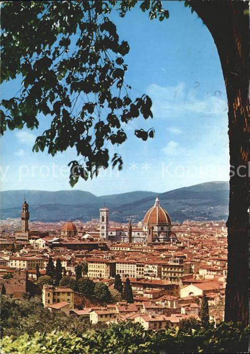Firenze Florenz Panorama Kathedrale Santa Maria del Fio