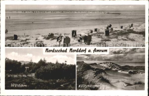 Norddorf Amrum Strandpartie Wäldchen Dünen