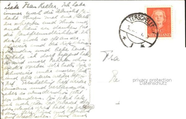 Terschelling Duingezicht – Bild 2