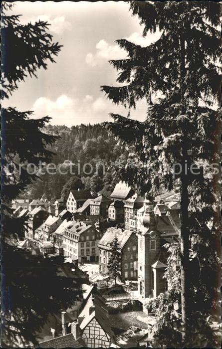 Monschau Durchblick vom Waldrand
