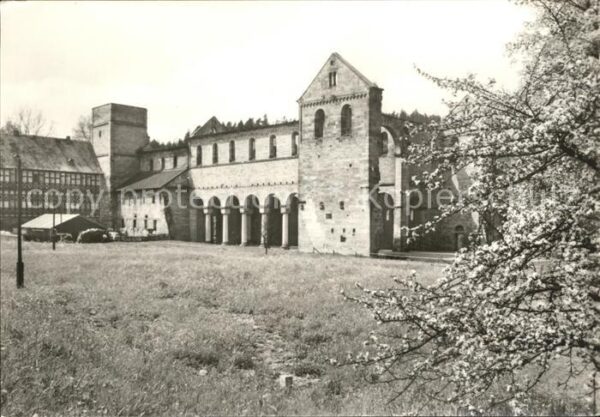 Paulinzella Klosterruine Baumblüte