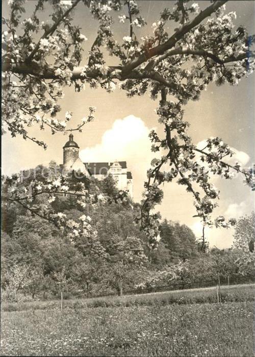 Ranis Burg Baumblüte