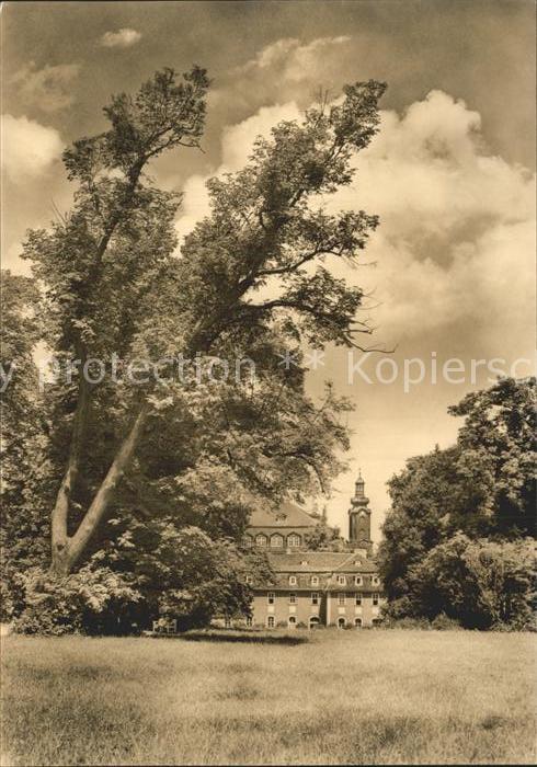 Weimar Thueringen Park