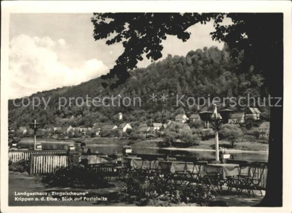 Krippen Bad Schandau Landgasthaus Ziegelscheune Elbe Blick a