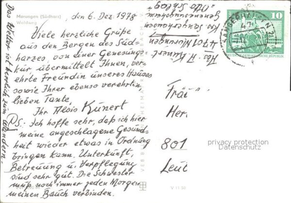 Morungen Waldweg – Bild 2