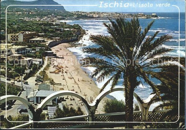 Forio d Ischia Panorama Spiaggia Strand Palme