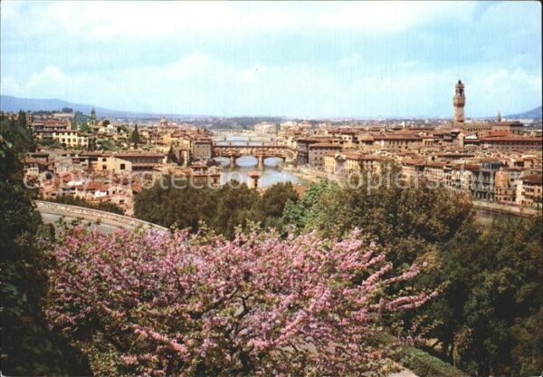 Firenze Florenz Panorama Baumblüte
