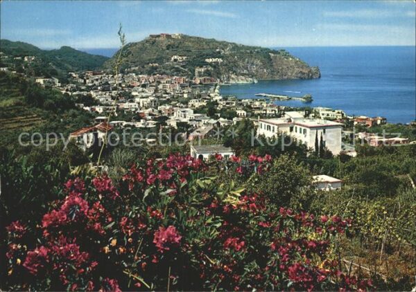 Lacco Ameno Panorama