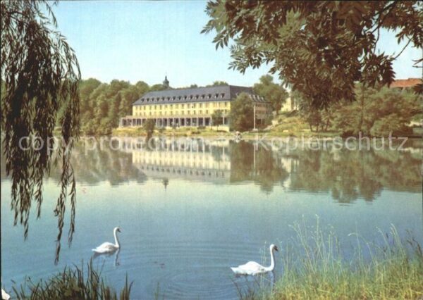 Bad Salzungen Kurhaus am Burgsee Schwäne