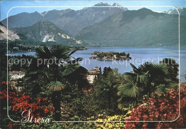 Stresa Lago Maggiore Panorama Insel Alpen Palmen