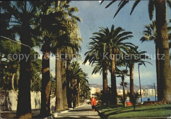 Sanremo Palmenallee