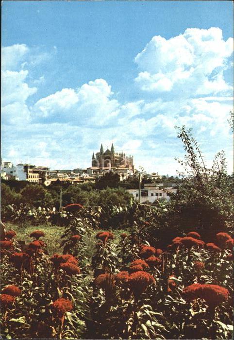 Palma de Mallorca Catedral