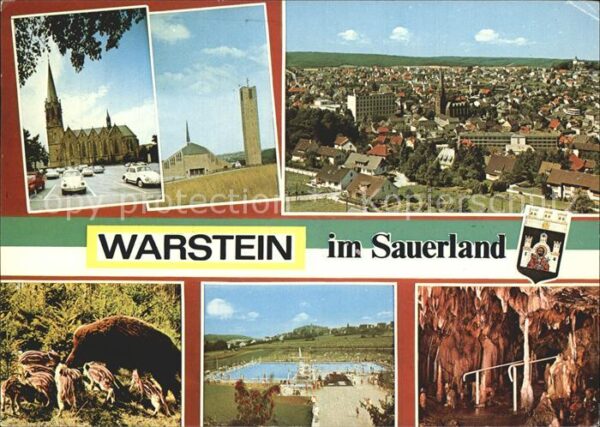 Warstein Kirchen Total Wildschweine Schwimmbad G