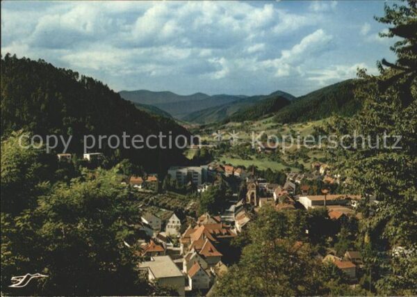 Hornberg Schwarzwald Gesamtansicht