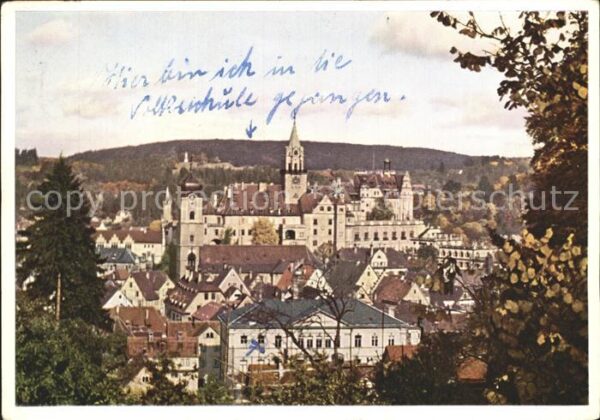 Sigmaringen Schloss und Stadtblick