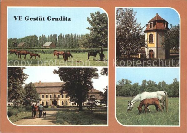 Graditz VE Gestüt Graditz Gutshaus Turm Pferde