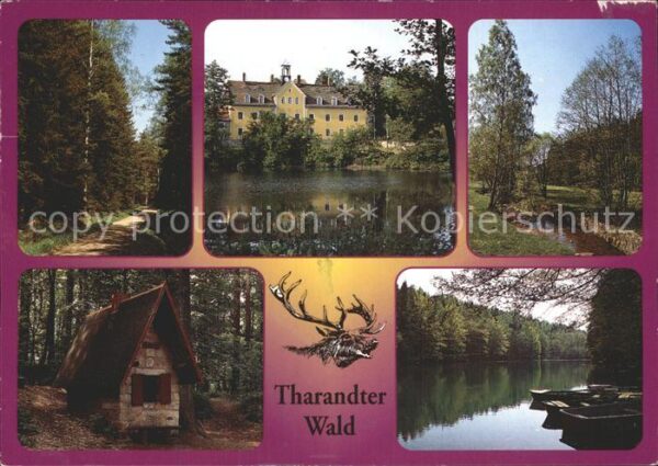 Tharandt Waldweg Schloss Kleines Häuschen See
