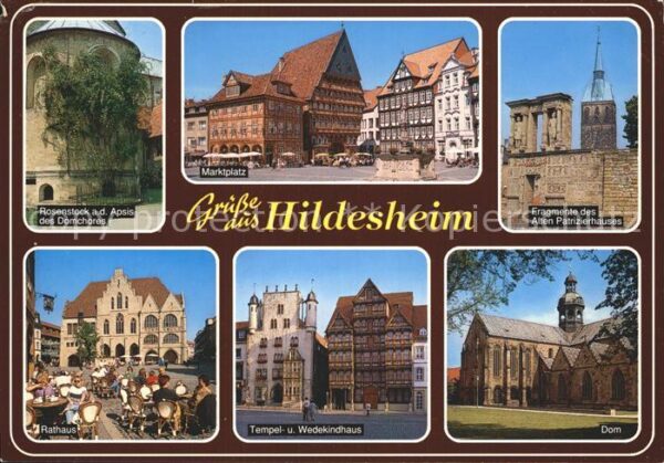 Hildesheim Rosenstock am Domchor Marktplatz Altes