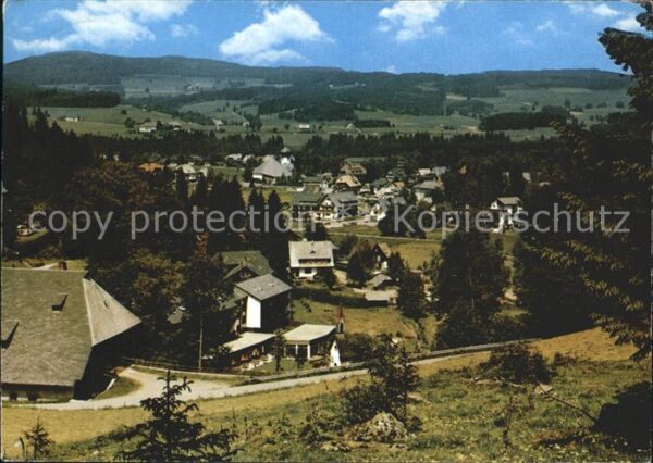 Hinterzarten Panorama