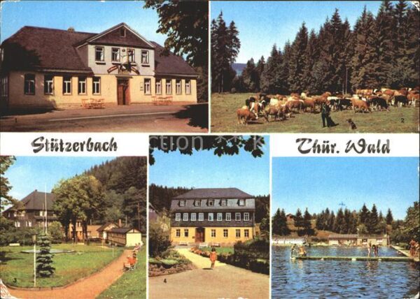Stuetzerbach Gasthaus Auerhahn Kuhherde Kurpark Goet