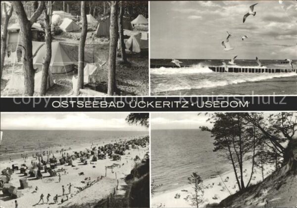 Ueckeritz Usedom Campingplatz Strand Möwen Steilküste