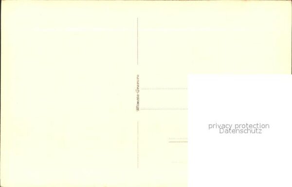 Fische Hecht – Bild 2