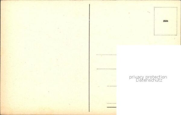 Rosen – Bild 2