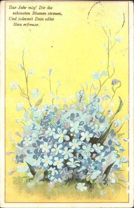 Blumen Vergissmeinnicht Litho