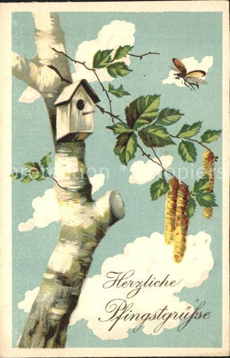 Pfingsten Pentecost Pentecote Baum Vogelhaus Haselkätzchen Litho